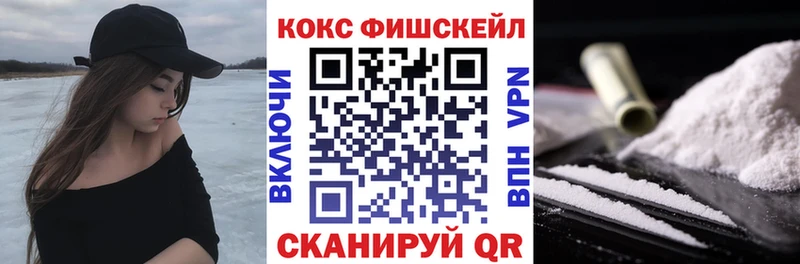 COCAIN Fish Scale  Купить закладки  Сургут 