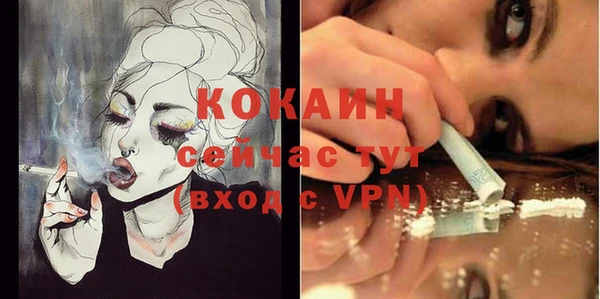 соль ск Нея
